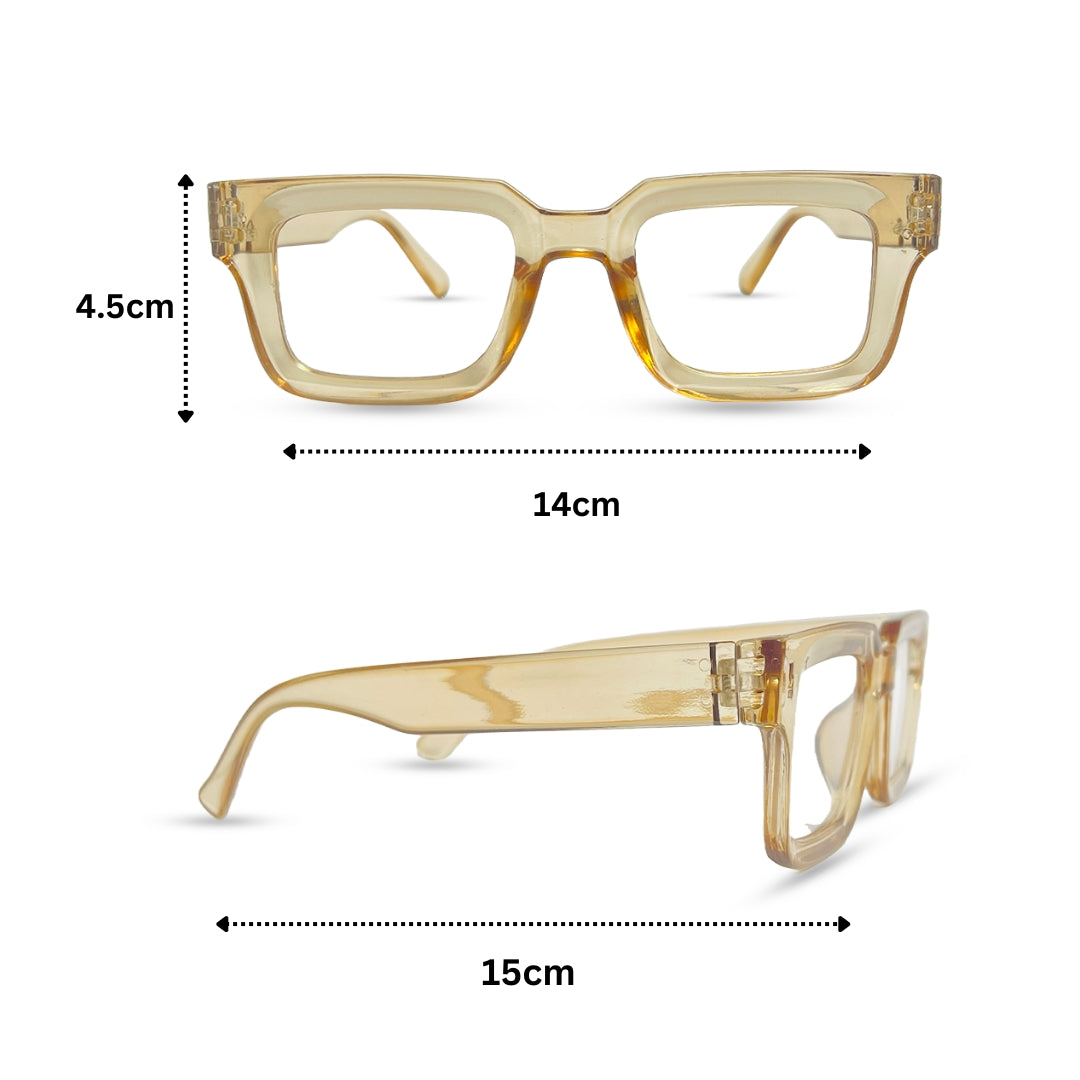 Options Transparent Eyeglasses - Brown