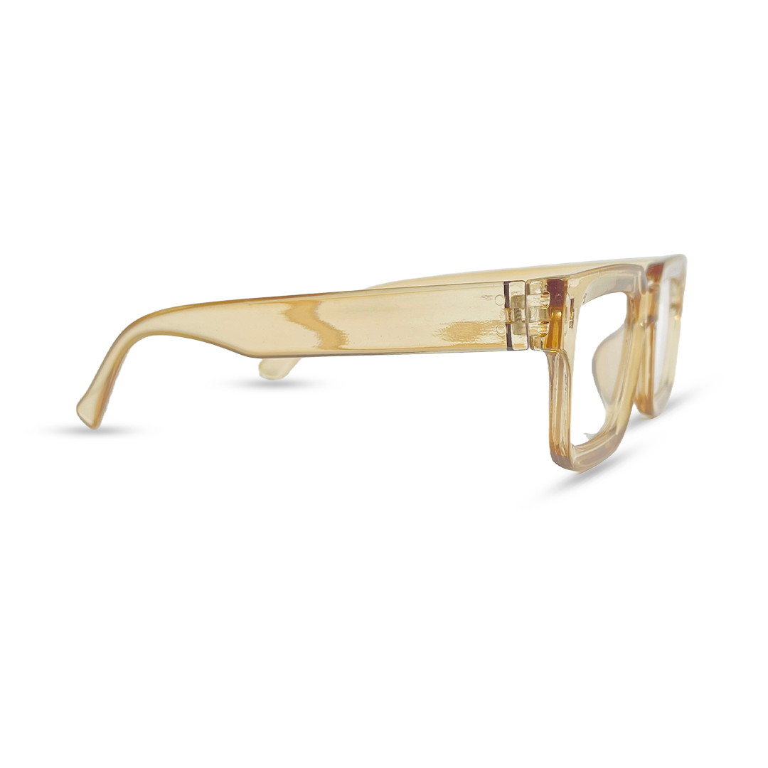 Options Transparent Eyeglasses - Brown